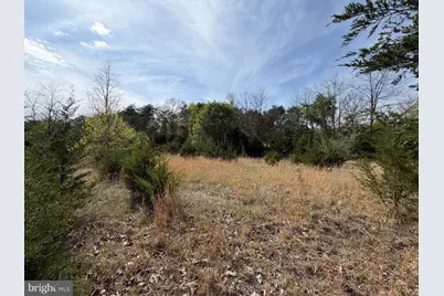 Lot # 16 Sugar Run, Romney, WV 26757 - Photo 10