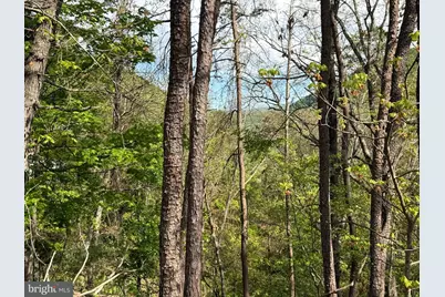 Lot # 16 Sugar Run, Romney, WV 26757 - Photo 14