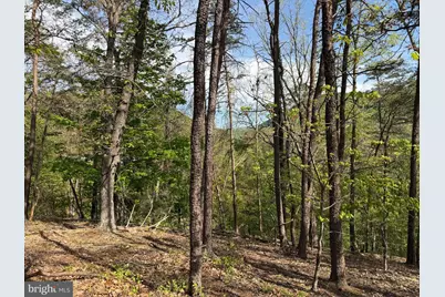 Lot # 16 Sugar Run, Romney, WV 26757 - Photo 12