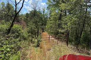 Lots 86 87 88 & 89 Doe Garden Dr, Yellow Spring, WV 26865 - Photo 1