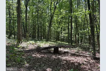 Lot 11 Rock Creek Trail, Augusta, WV 26704 - Photo 6