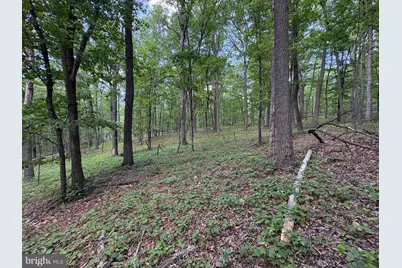 Lot 11 Rock Creek Trail, Augusta, WV 26704 - Photo 14