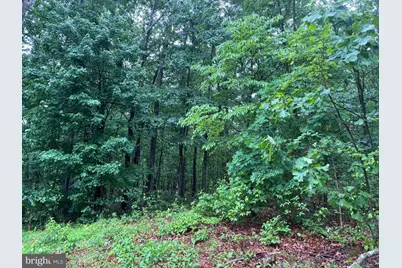 [Address not provided], Points, WV 25437 - Photo 6