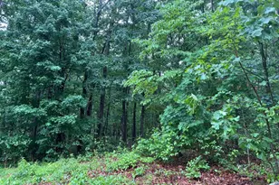 [Address not provided], Points, WV 25437 - Photo 6