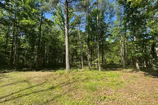 3668 Lake Ferndale Dr, Springfield, WV 26763 - Photo 44