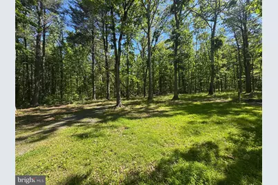3668 Lake Ferndale Drive, Springfield, WV 26763 - Photo 40