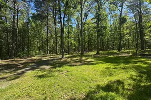 3668 Lake Ferndale Dr, Springfield, WV 26763 - Photo 40