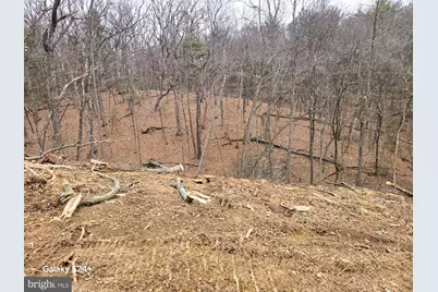 Radnor Dr, Delray, WV 26714 - Photo 14