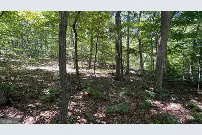 28 B Falconwood, Bloomery, WV 26817 - Photo 6