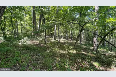 28 B Falconwood, Bloomery, WV 26817 - Photo 4