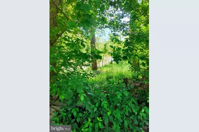 1461 Springfield Pike, Springfield, WV 26763 - Photo 12