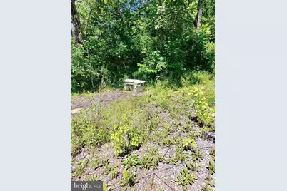 1461 Springfield Pike, Springfield, WV 26763 - Photo 8