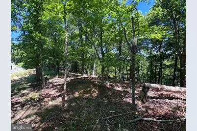Lot 24 Cornwell Drive, Romney, WV 26757 - Photo 6