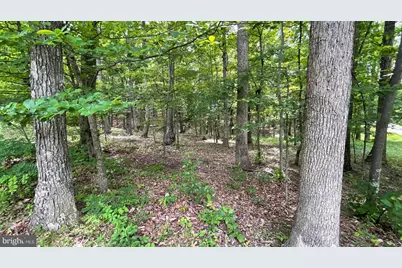 Lot 61 Bristol Springs Way, Slanesville, WV 25444 - Photo 2