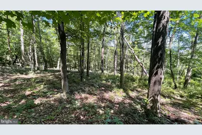 Lot 61 Bristol Springs Way, Slanesville, WV 25444 - Photo 8