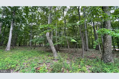 Lot 61 Bristol Springs Way, Slanesville, WV 25444 - Photo 6