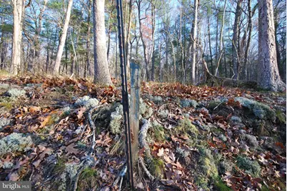 Lot 67 Mill Mountain Road, Romney, WV 26757 - Photo 34