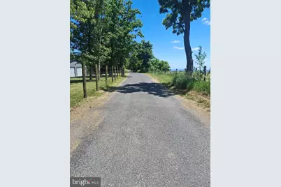 2334 Ash Ruckman Road, Augusta, WV 26704 - Photo 8