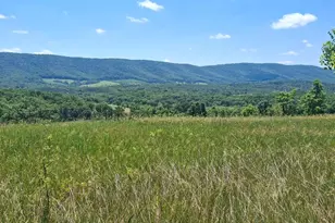 2334 Ash Ruckman Rd, Augusta, WV 26704 - Photo 4