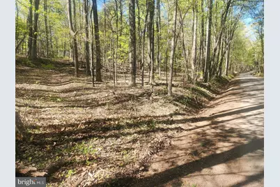 Lot 3B Critton Owl Hollow Road, Paw Paw, WV 25434 - Photo 32