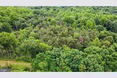 Lot 3B Critton Owl Hollow Road, Paw Paw, WV 25434 - Photo 8