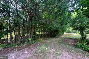 272 Red-Tailed Hawk Rd, Paw Paw, WV 25434 - Photo 42
