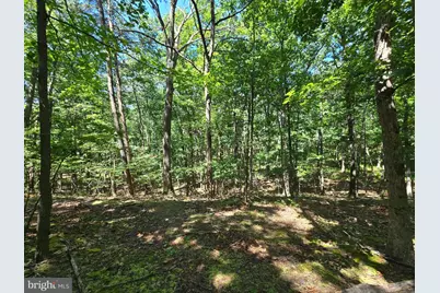 186 Big Oak Drive, Points, WV 25437 - Photo 8