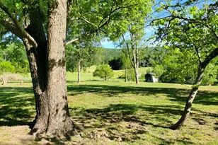 7881 Ford Hill Rd, Rio, WV 26755 - Photo 2