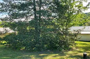 7881 Ford Hill Rd, Rio, WV 26755 - Photo 6