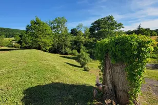7881 Ford Hill Rd, Rio, WV 26755 - Photo 12