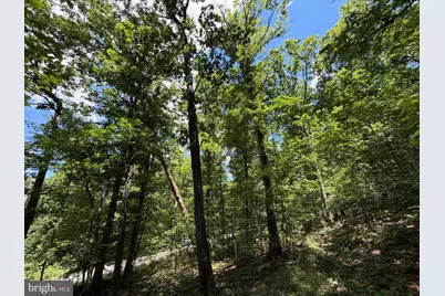 23-C Lake Ferndale, Springfield, WV 26763 - Photo 12