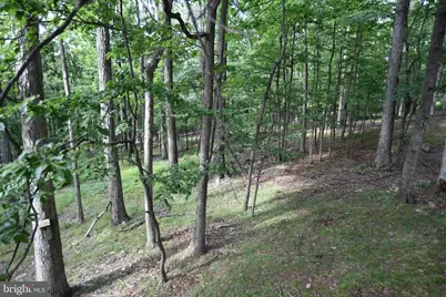586 Cardinal View Road, Paw Paw, WV 25434 - Photo 22