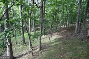586 Cardinal View Rd, Paw Paw, WV 25434 - Photo 22