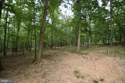 586 Cardinal View Road, Paw Paw, WV 25434 - Photo 6