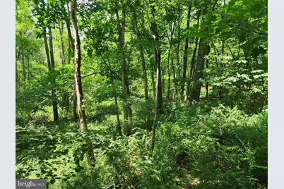 Lot 1 Nathaniel Mountain Heights, Romney, WV 26757 - Photo 8
