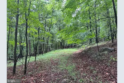 Lot 61 High Mountain View Road, Romney, WV 26757 - Photo 6