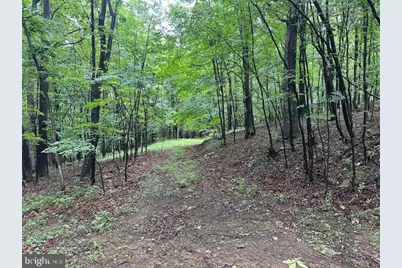 Lot 61 High Mountain View Road, Romney, WV 26757 - Photo 4