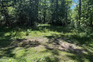 750 Hickory Corner Rd, Augusta, WV 26704 - Photo 34