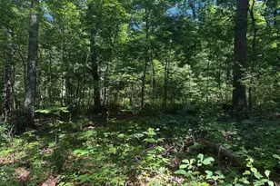 750 Hickory Corner Rd, Augusta, WV 26704 - Photo 44