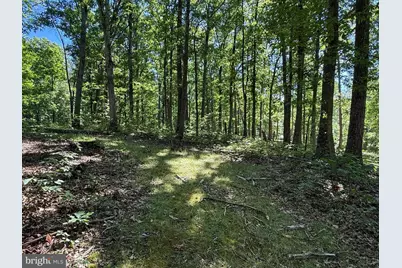 750 Hickory Corner Road, Augusta, WV 26704 - Photo 42