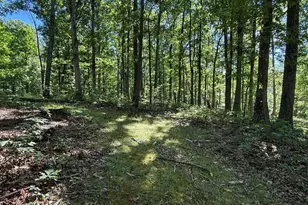 750 Hickory Corner Rd, Augusta, WV 26704 - Photo 42