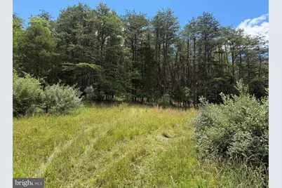 511 Chickadee Road, Purgitsville, WV 26852 - Photo 22