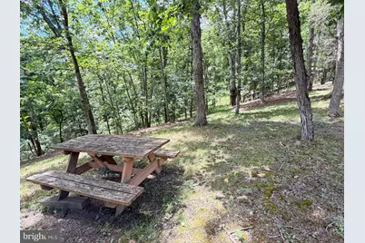 511 Chickadee Road, Purgitsville, WV 26852 - Photo 62