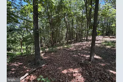 511 Chickadee Road, Purgitsville, WV 26852 - Photo 48