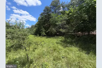 511 Chickadee Road, Purgitsville, WV 26852 - Photo 34
