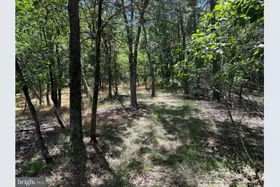 511 Chickadee Road, Purgitsville, WV 26852 - Photo 42