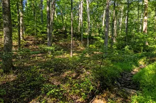 1454 Pin Oak Rd, Paw Paw, WV 25434 - Photo 58