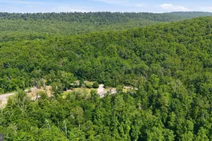 1355 Sandy Hollow Rd, Bloomery, WV 26817 - Photo 38