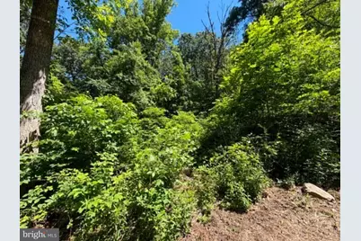 51 Cabin Road, Augusta, WV 26704 - Photo 4