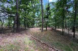 7313 Little Cacapon Rd, Romney, WV 26757 - Photo 1